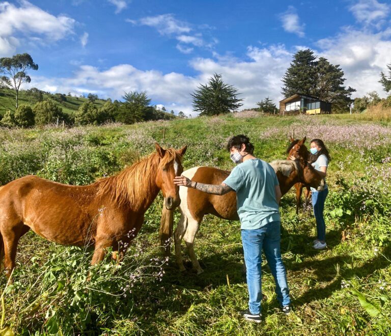 Ancestral Horseback Ride