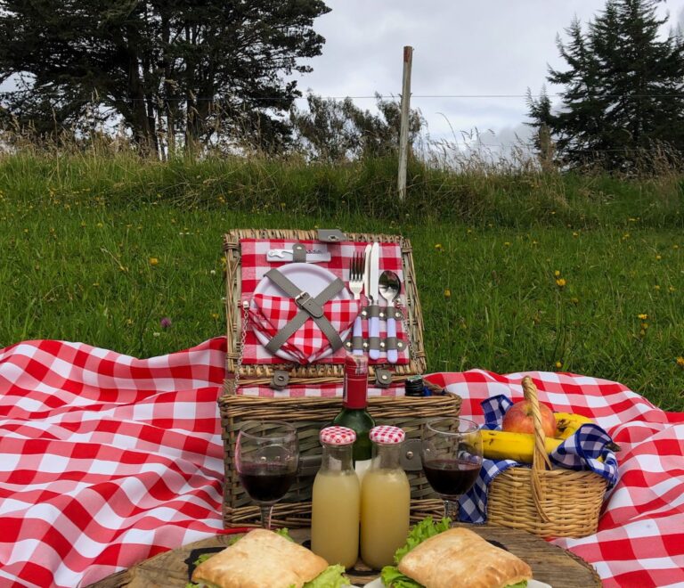 Picnic en la montaña