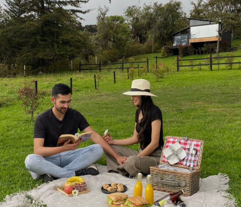 Mountain Picnic